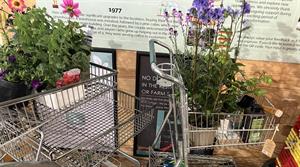 Garden centre plant sales